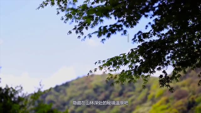 秘宝猎人